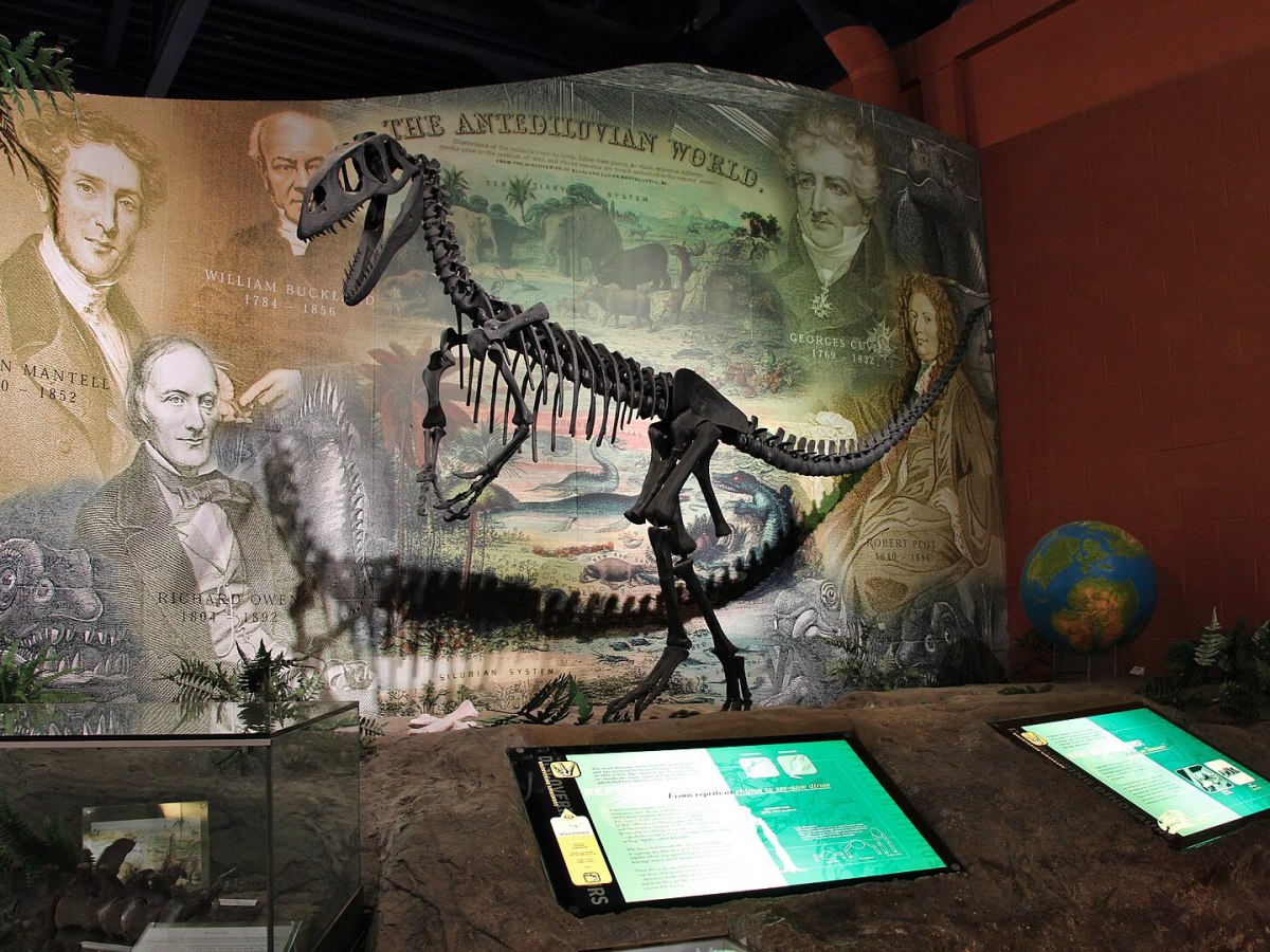 Discovering Dinosaur Isle, Isle of Wight: A Journey Back in&nbsp;Time